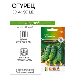 Семена Огурец, «СВ 4097 ЦВ», F1, 8 шт., Seminis, «Агрос»