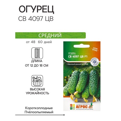 Семена Огурец, «СВ 4097 ЦВ», F1, 8 шт., Seminis, «Агрос»