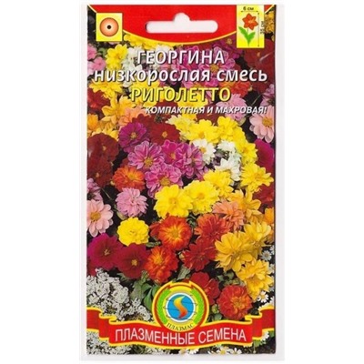 Георгина Риголетто смесь   (Код: 75185)