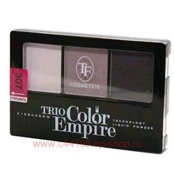 Triumph Тени для век трехцветные тон 307 аметист CTE22 35 гр