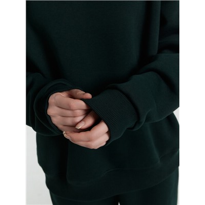 КОМПЛЕКТ ЖЕНСКИЙ (СВИТШОТ, БРЮКИ) 192562