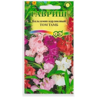 Бальзамин Том Тамб (Код: 11416)