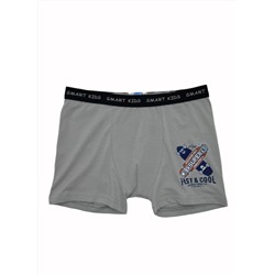 Трусы для мальчика Berrak