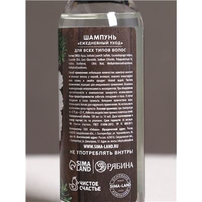 Подарочный набор новогодний мужской «С праздником»: гель для душа и шампунь для волос, 2×100 мл, Чистое счастье