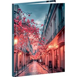 Ежедневник недатированный А5 160 стр. "ВЕЧЕРНИЕ УЛИЧНЫЕ ОГНИ" 80-6758 Проф-Пресс