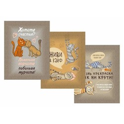 К-т полотенец "Кошачьи тайны" 50*60 см. - 3 шт. рогожка хлопок 100%