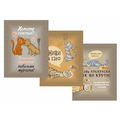 К-т полотенец "Кошачьи тайны" 50*60 см. - 3 шт. рогожка хлопок 100%