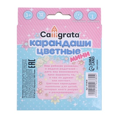 Карандаши Calligrata «Принцесса», цветные, 12 цветов деревянные, трёхгранные, мини