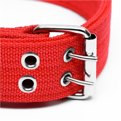 Ошейник четырехслойный, 64×4 см, ОШ 50-58 см, полиэстер, красный