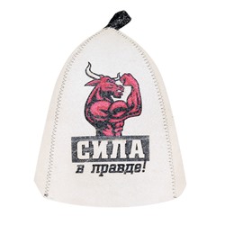 Колпак Сила в правде А37065