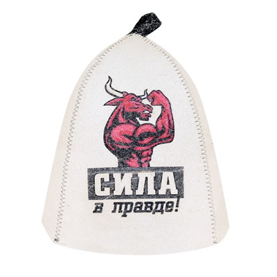 Колпак Сила в правде А37065