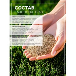 Газонная травосмесь«Красотень», Морозко, 5 кг