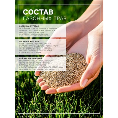 Газонная травосмесь«Красотень», Морозко, 5 кг
