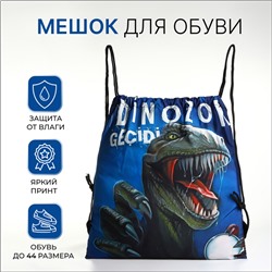 Мешок для обуви на шнурке, с принтом, размер 45×1×34 см, чёрный/синий