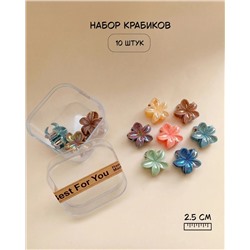 Набор крабиков для волос в боксе (10 шт)