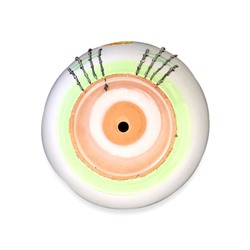 Горшок для цветов «Азия », 8 л, d=29.5 см, h=23 см, с поддоном, керамика, белый