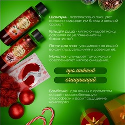 Новогодний подарочный набор косметики «Зимнее путешествие» для душа и ванны, красная серия