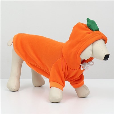 Толстовка «Любимая морковка», размер M (ДС 30, ОГ 44 см)