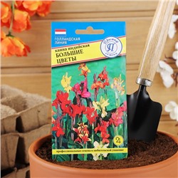 Семена цветов Канна индийская «Большие цветы», 3 шт.