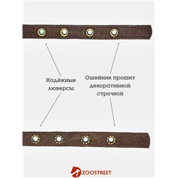Ошейник безразмерный, 35×1.5 см, с подпряжником, кожа, коричневый