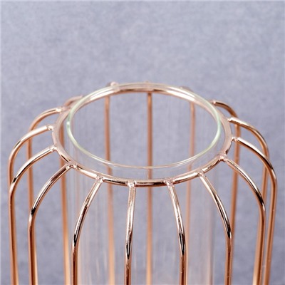 Ваза - флорариум «Ангстрем», колба в подставке, 9×20 см, стекло, прозрачная, золотистая