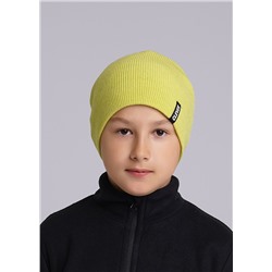 CLEVER Шапка