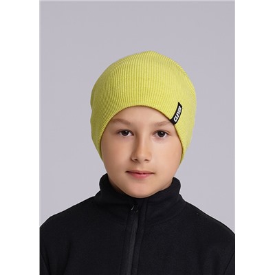 CLEVER Шапка