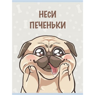 Тетрадь А4  48л клетка "Неси печеньки" Т4485245 Эксмо
