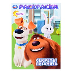 Раскраска "Секреты питомцев"