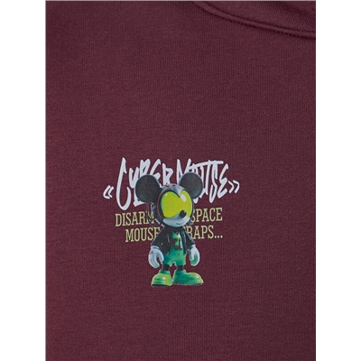 ХУДИ ДЛЯ МАЛЬЧИКОВ 123416-1