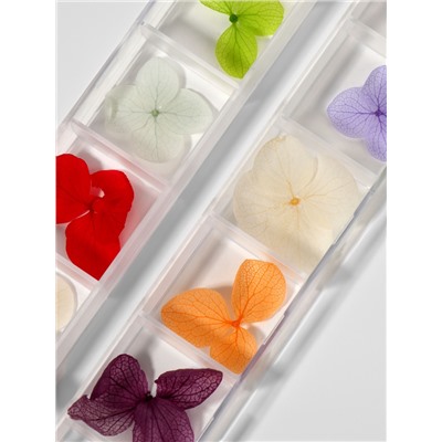 Сухоцветы для декора «Нежность», объёмные, 12 видов, в футляре, разноцветные