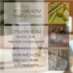 Диффузор ароматический Hygge #16 Бамбуковая роща, 50 мл