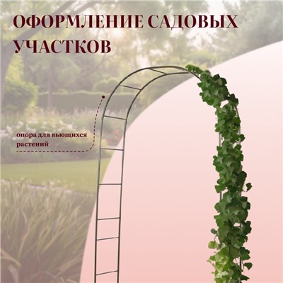 Арка садовая, 240×125×36.5 см, для вьющихся растений, металлическая, бронзовая