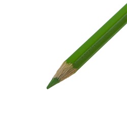 Карандаши Koh-I-Noor 3595 «Динозавр», 36 цветов, картонная упаковка