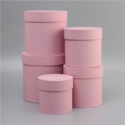 Набор круглых подарочных коробок 5 в 1 «Пыльная роза», 20×20×20 - 11×11×11 см см