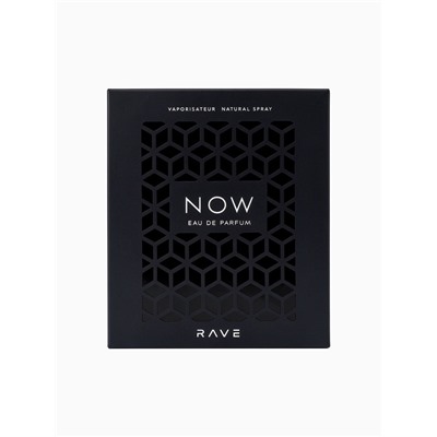 Парфюмерная вода мужская Rave NOW, 100 мл (по мотивам Black XS L'Exces for Him Rabanne)