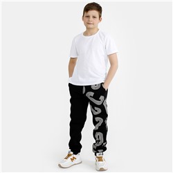 Штаны Ребус