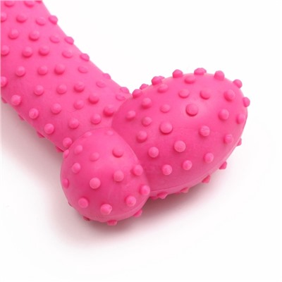 Жевательная игрушка для собак «Любимое лакомство», 11×4 см, TPR, розовая