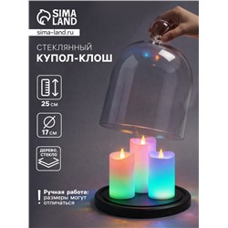 Стеклянный купол - клош на деревянной подставке, 17×25 см, чёрный