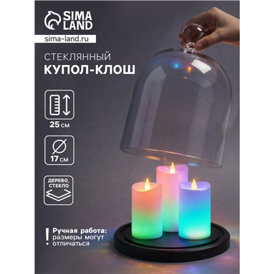 Стеклянный купол - клош на деревянной подставке, 17×25 см, чёрный