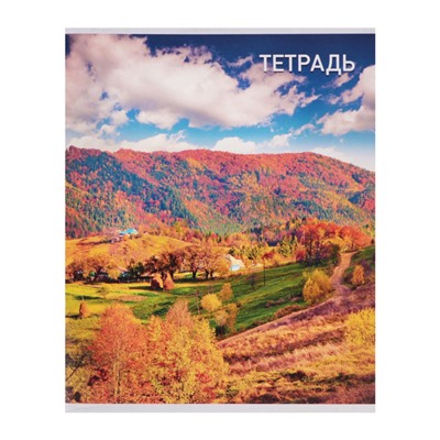 Набор тетрадей, 96 листов в клетку, Calligrata «Природа», серые листы, 4 штуки
