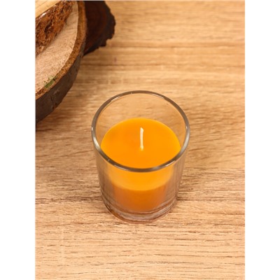 Свеча ароматическая в стакане BALLY BAND, 60 г, апельсиновые специи
