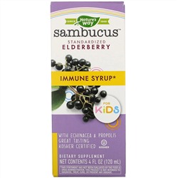 Nature's Way, Sambucus для детей, стандартизированный экстракт бузины, сироп для укрепления иммунитета, 120 мл (4 жидк. унции)