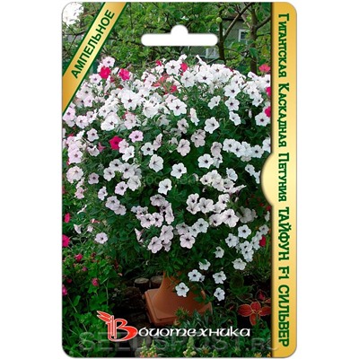 Петуния Тайфун F1 Сильвер каскад (Биотехника)