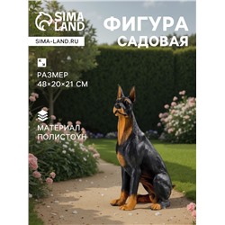 Садовая фигура из полистоуна «Собака Доберман», 48×20×21 см