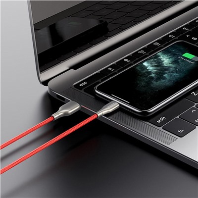 Кабель USB - Apple lightning Borofone BX45 Fast (повр. уп.) 12W 100см 2,4A  (red)