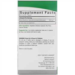Nature's Answer, Рейши, 500 мг, 90 вегетарианских капсул