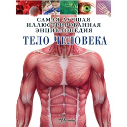 АСТ Клэр Гибберт "Тело человека"