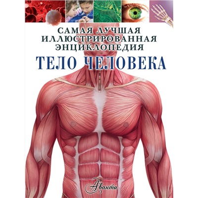 АСТ Клэр Гибберт "Тело человека"