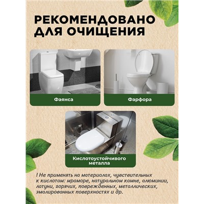 Многофункциональный гель для очищения туалета «Хвойный микс» Home Gnome Greenly